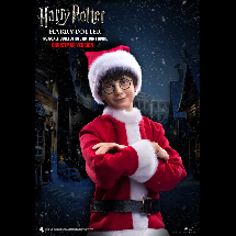 HARRY POTTER (XMAS)